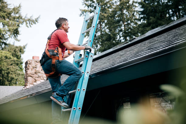 Best Gutter Installation and Repair  in Roma, TX